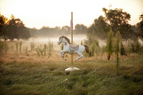 princess horse carousel