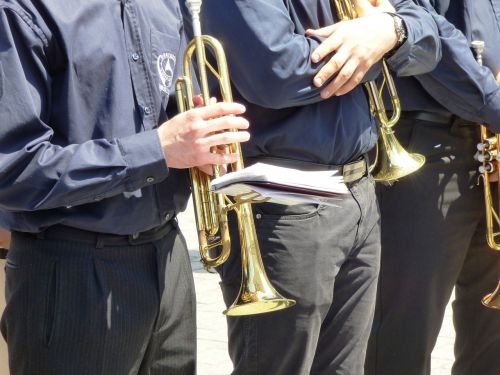 proboscis trumpet instruments