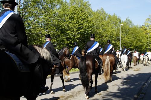 procession equestrian procession vineyard