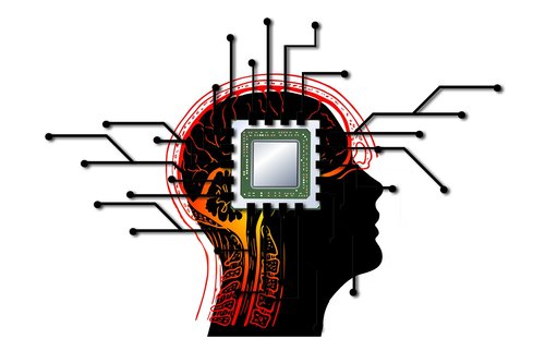 processor  brain  head