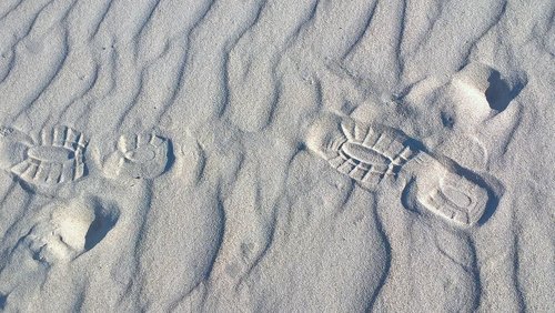 profile  sand  footprint