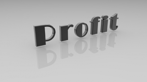 profit business reflection