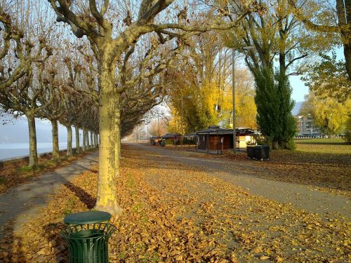 promenade les bains esplanade