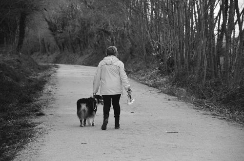 promenade dog woman