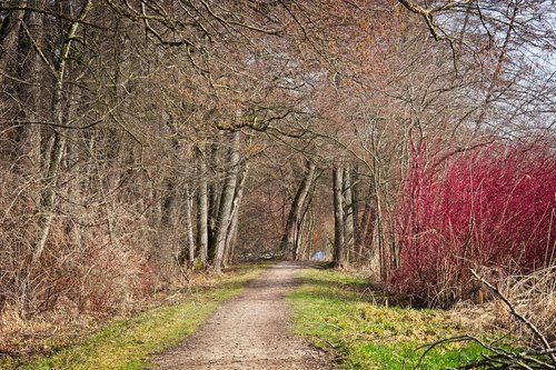 promenade  away  path