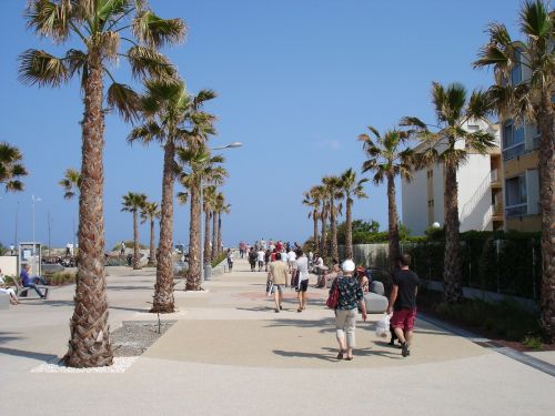 promenade palm walk