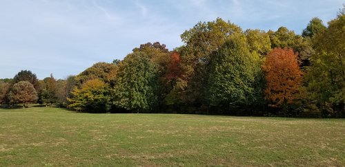 prospect park  brooklyn  fall