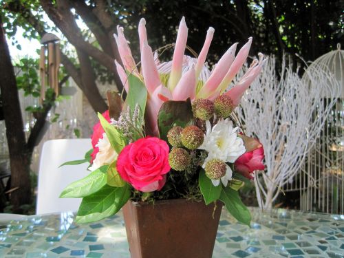 Protea And Flowers In Pot