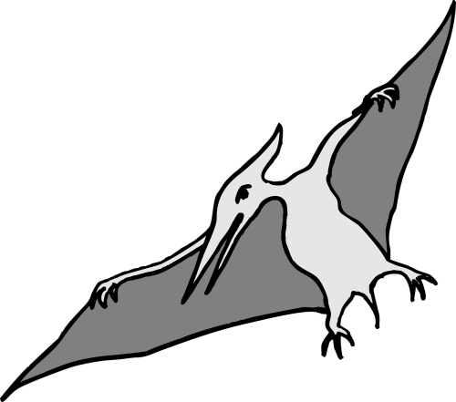 pterodactyl dinosaur bird