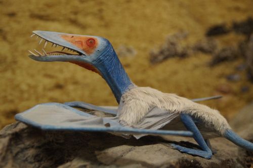 pterosaur prehistoric times dinosaur
