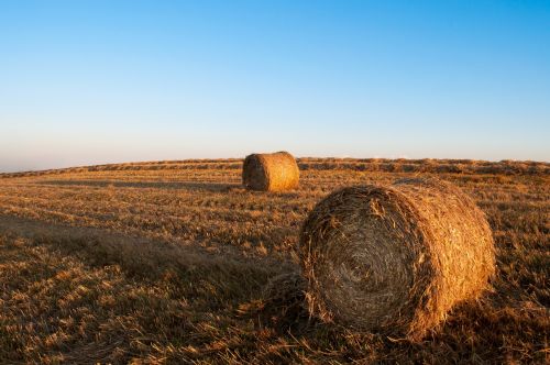 Straw Bales At Sunset