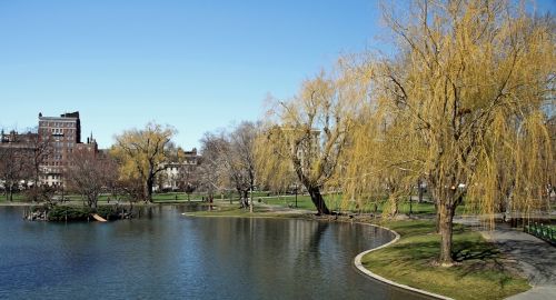 public garden boston park