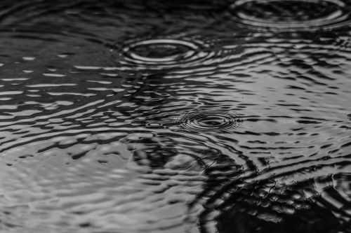 puddle water rain