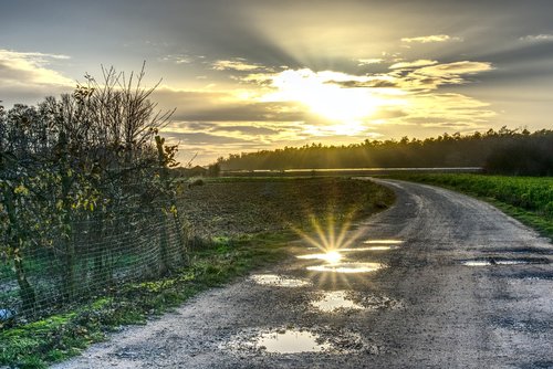 puddle  backlighting  mirroring