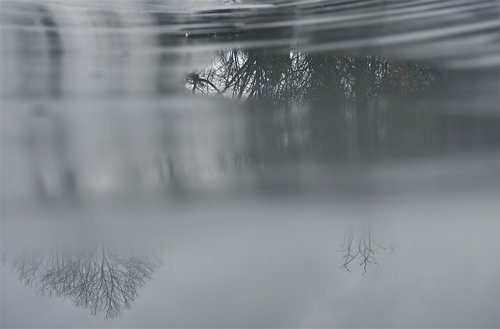 puddle  water  reflection