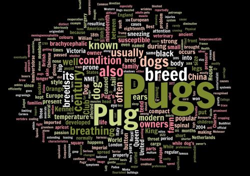 pug wordcloud words