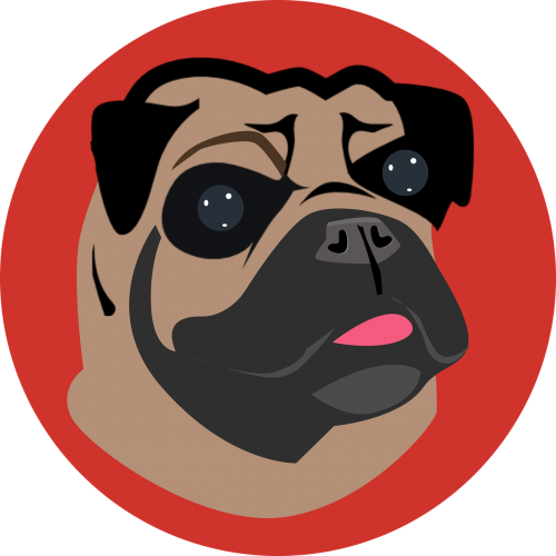 pug dog cartoon dog