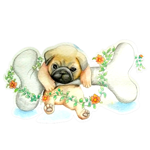 pug  watercolor  cute