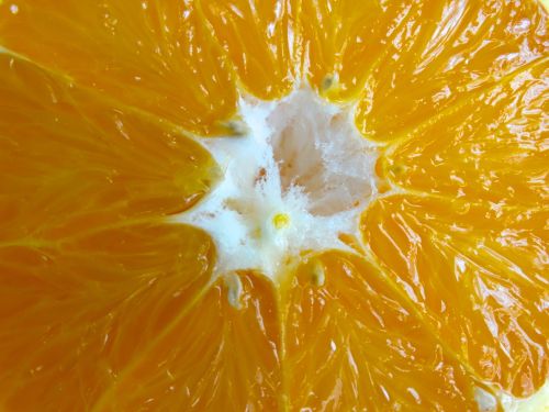 pulp orange fruit core