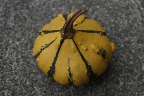 pumpkin gourd deco