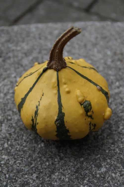 pumpkin gourd deco
