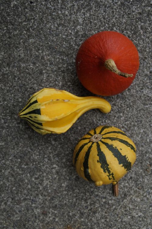 pumpkin gourd deco