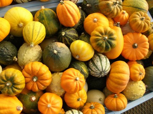 pumpkin halloween vegetables