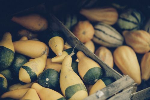 pumpkin gourd autumn