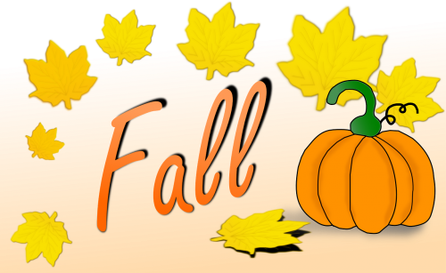 pumpkin fall leaves