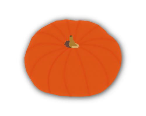 pumpkin vegetable orange