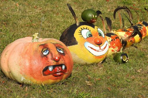 pumpkin pumpkins halloween
