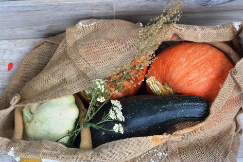 pumpkin zucchini patison