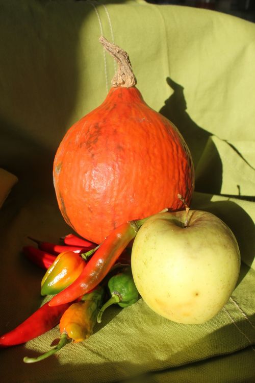 pumpkin apple fruits