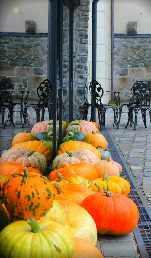 pumpkin autumn street