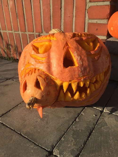 pumpkin halloween pumpkins