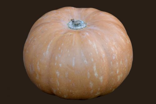 pumpkin vegetable orange