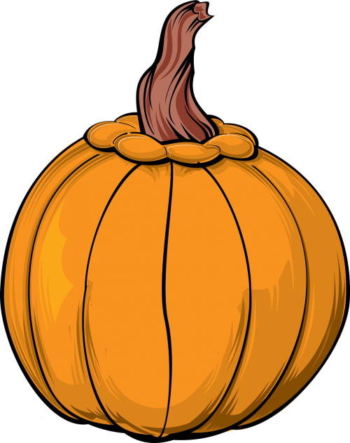 pumpkin vector halloween