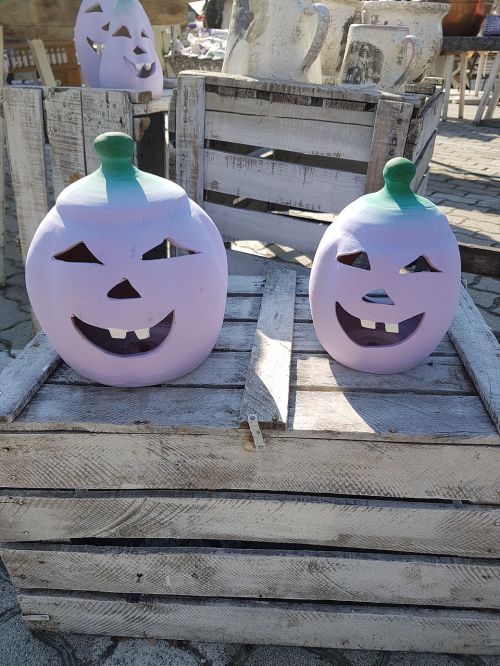 pumpkin purple fun