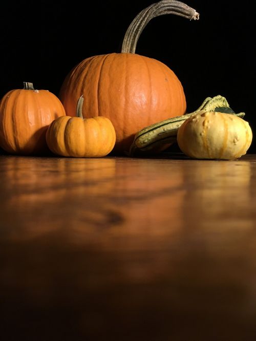 pumpkin orange gourd