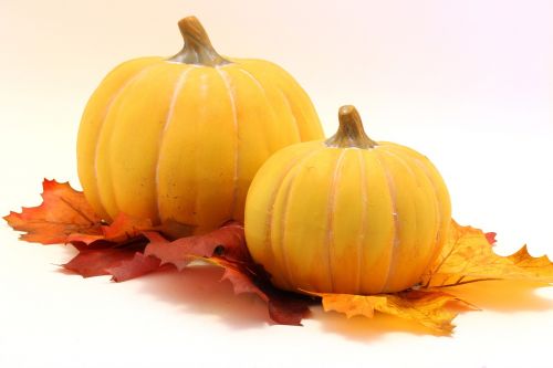 pumpkin leaves halloween