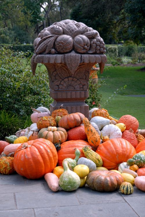pumpkin october halloween