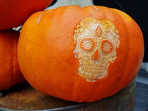 pumpkin halloween skull