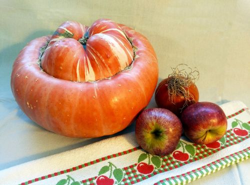pumpkin apple orchard