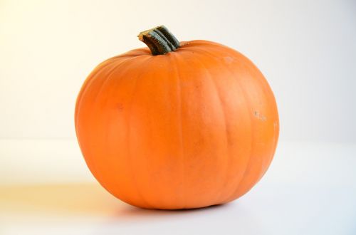 pumpkin food halloween