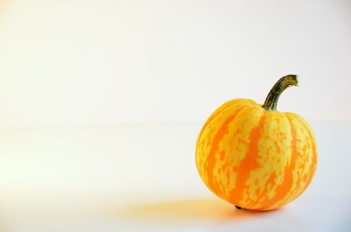 pumpkin fall food