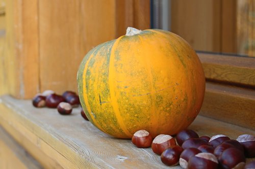 pumpkin  chestnuts