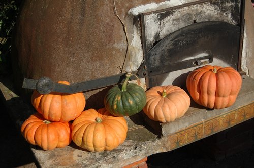 pumpkin  bread oven  farm
