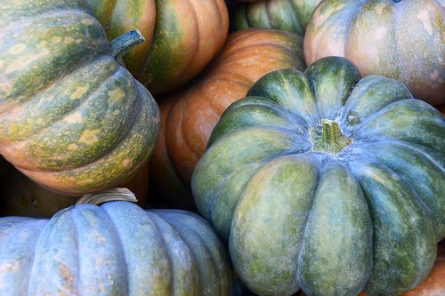 pumpkin  gourd  vegetables