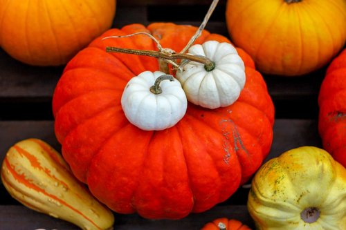 pumpkin  autumn  decoration