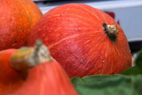 pumpkin  vegetables  food